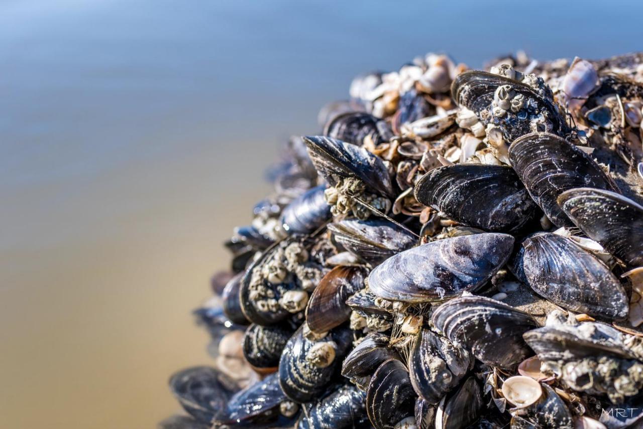 Hotel Steeds Aan Zee Katwijk aan Zee Zewnętrze zdjęcie